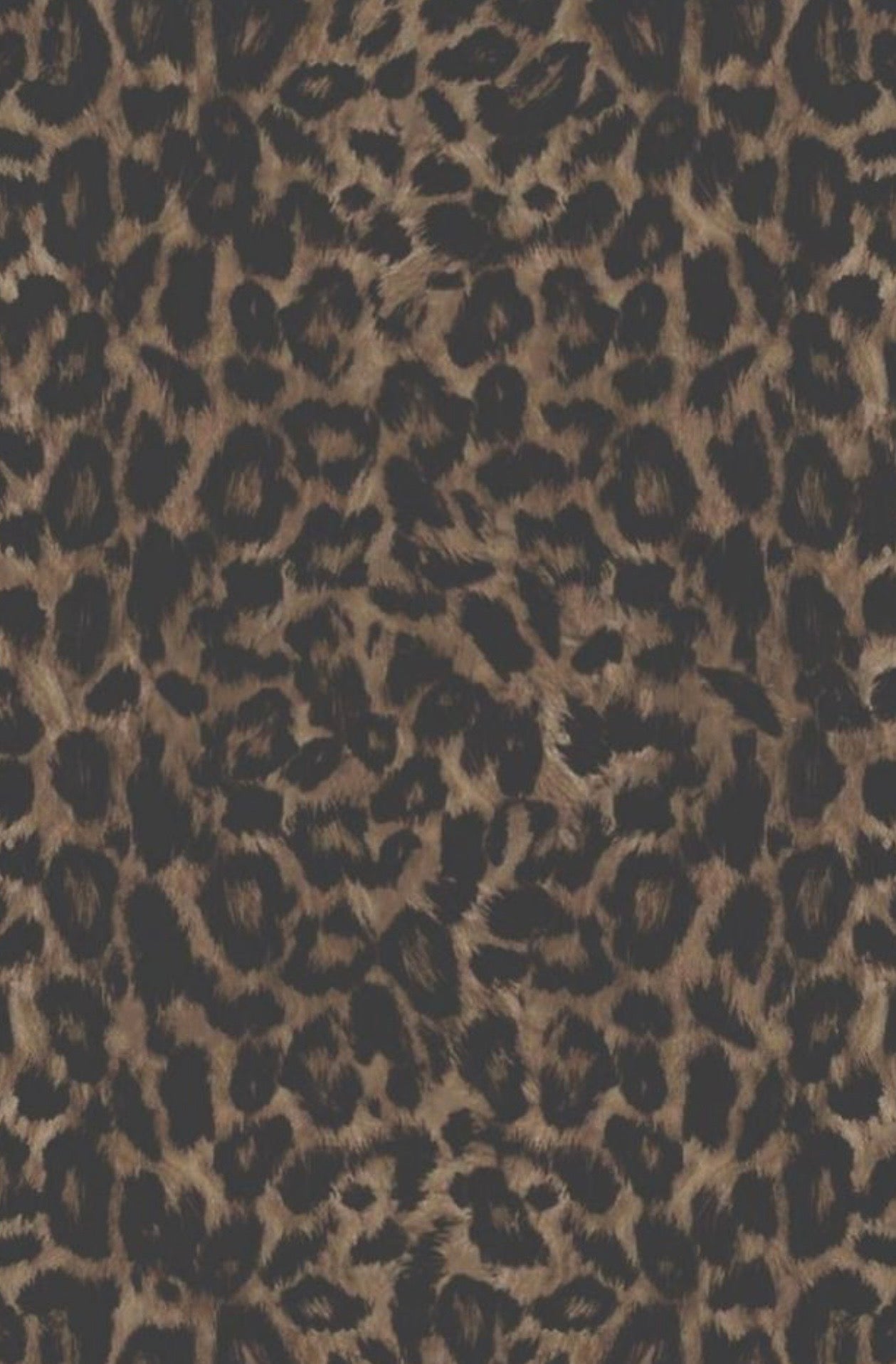 PRE ORDER CLOSES 4/24